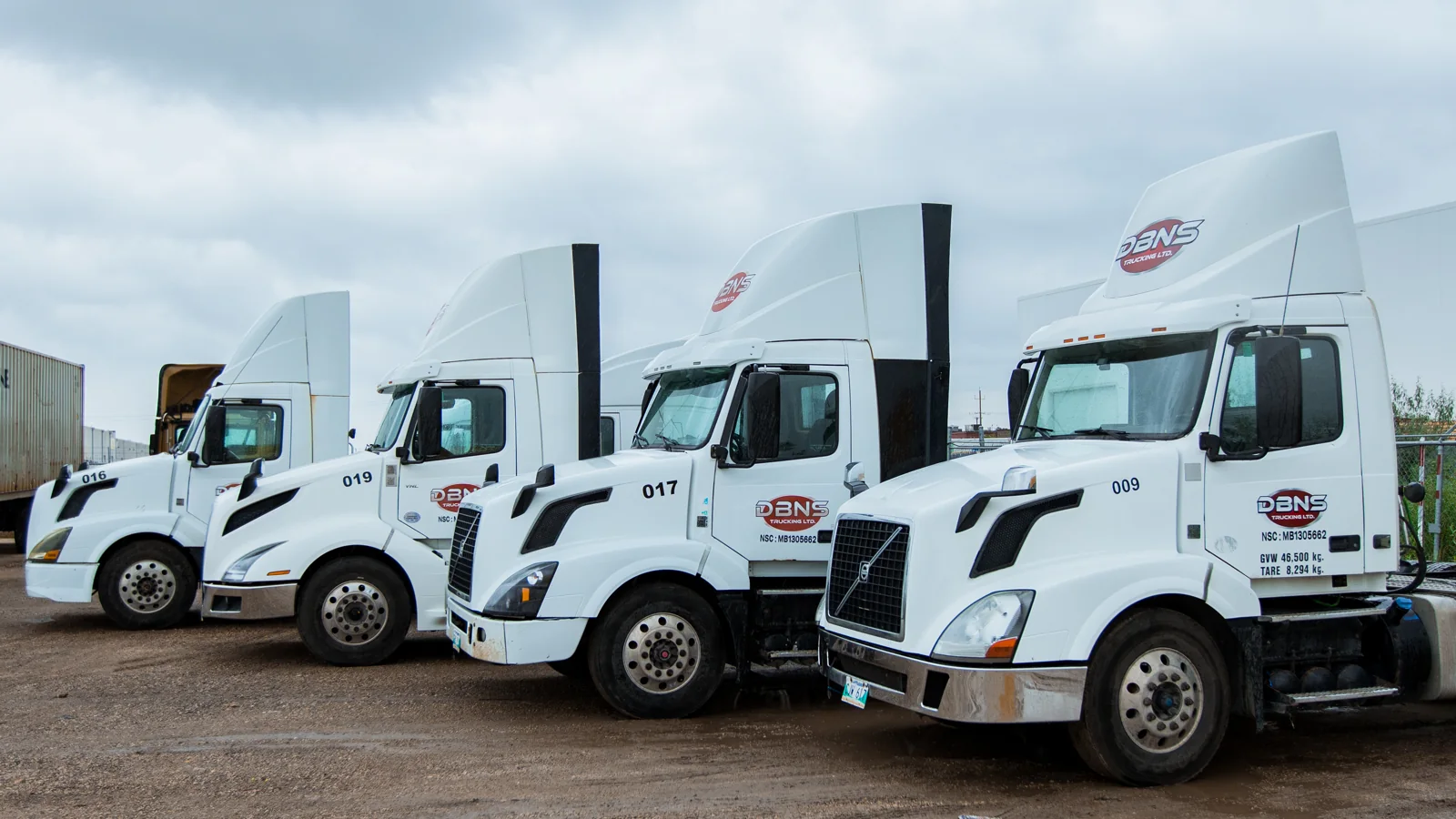 White DBNS tractors parked in a row, viewed from the front quarter